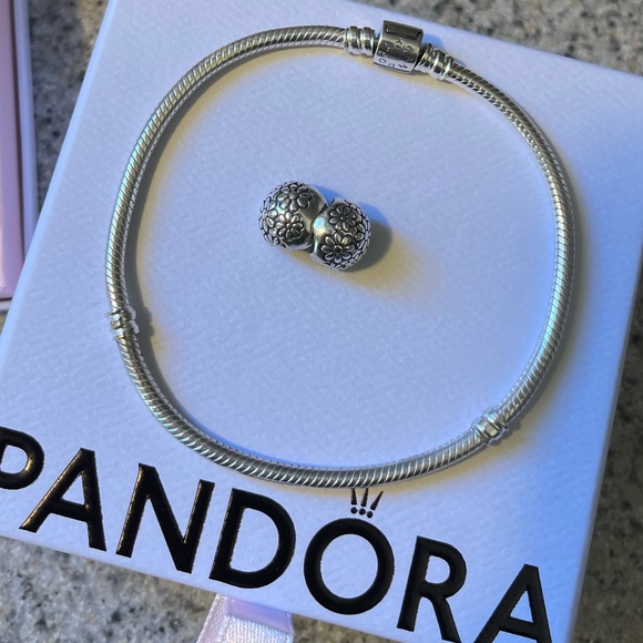 Pandora bracelet and 8 charms - Picture 3 of 15